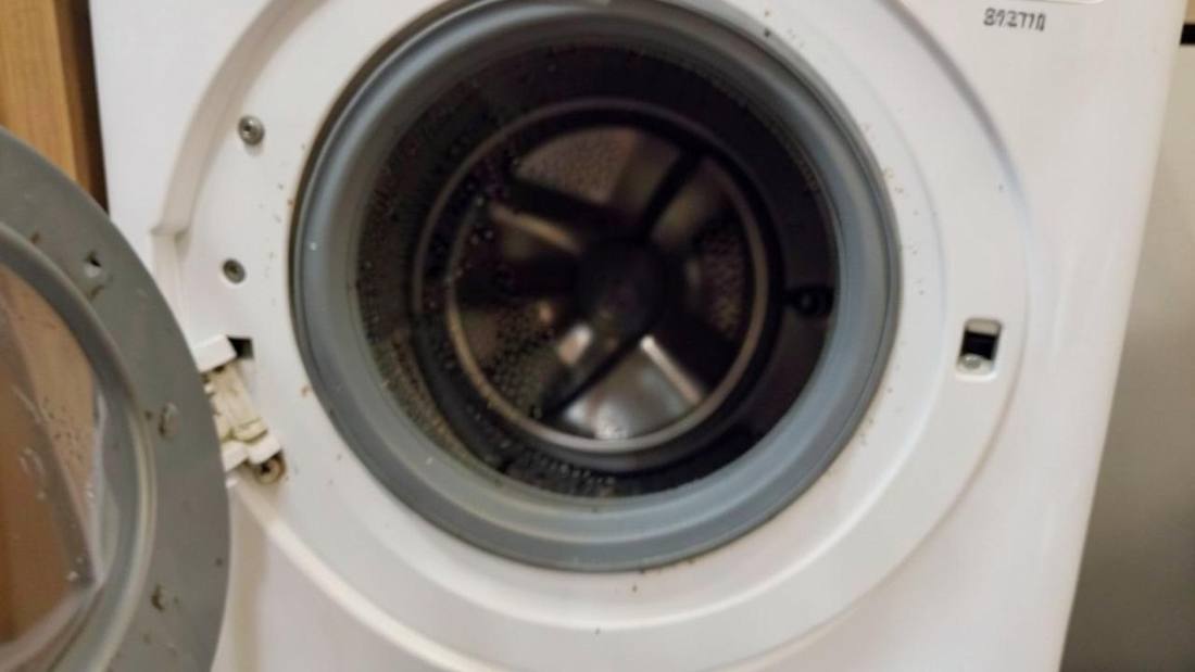The rubber door seal of a front-load washing machine is a common hiding spot for mould and mildew.
