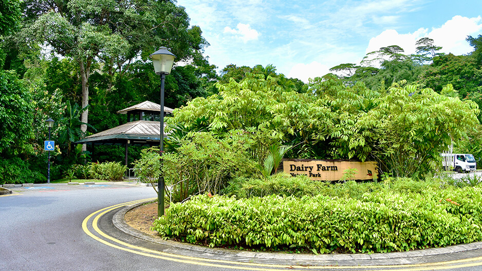 Piing laundry service

 in Dairy Farm Singapore