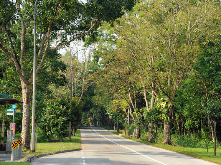 Piing dry cleaning and laundry service

 in Lim Chu Kang Singapore