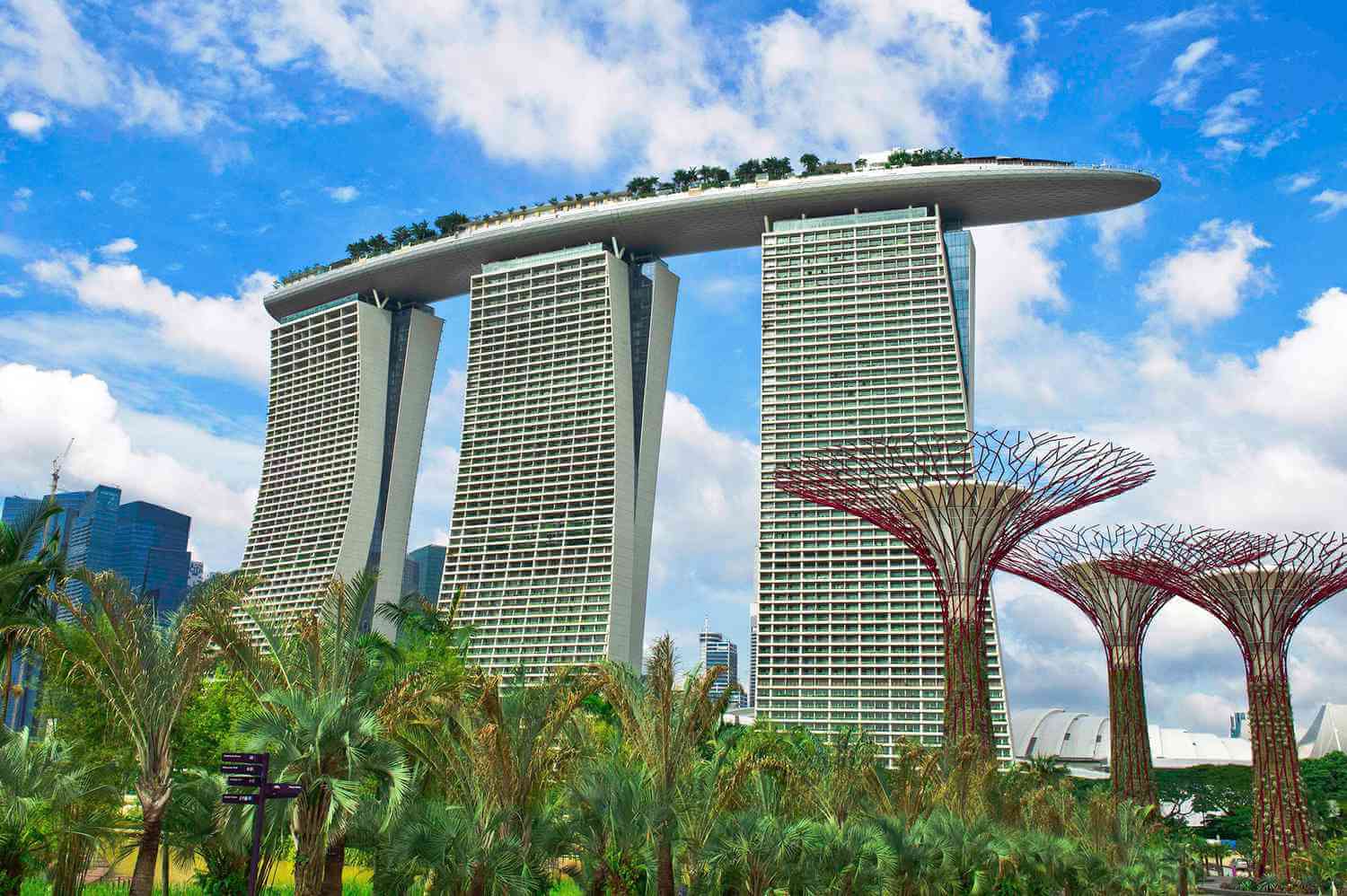 Piing dry cleaning and laundry service

 in Marina Singapore