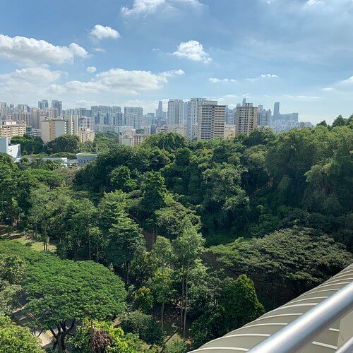 Piing laundry service

 in Telok Blangah Singapore